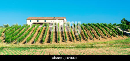 Le piantagioni di vite e agriturismo in Toscana, Italia. Foto Stock