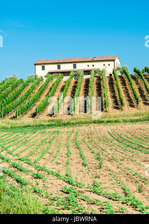 Le piantagioni di vite e agriturismo in Toscana, Italia. Foto Stock