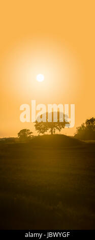 Tramonto dietro Oak tree sulla parte superiore di una vecchia tomba a tumulo Soderslatt, Skane, Svezia e Scandinavia. Foto Stock