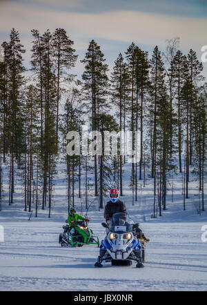 Motoslitte, Kangos, Lapponia, Svezia Foto Stock