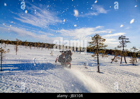 Motoslitte, Kangos, Lapponia, Svezia Foto Stock