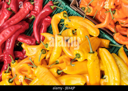 Rosso, giallo e arancio dolce Romano peperoni Foto Stock