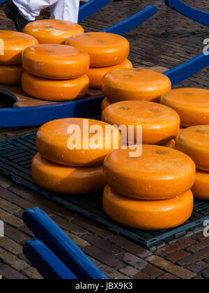 Kaasmarkt -Käsemarkt di Alkmaar, Provinz Nordholland, Niederlande Kaasmarkt-Cheese mercato di Alkmaar, provincia Olanda Settentrionale, Paesi Bassi Foto Stock