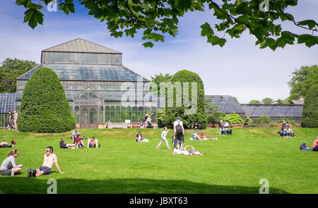 Giornata di sole nel giardino botanico in Glasgow, Scozia Foto Stock