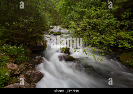 Schwarzbach fiume vicino a Golling cascate in Austria (lunga esposizione) Foto Stock