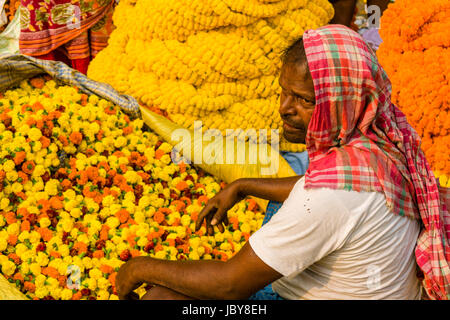 I mucchi di coloratissimi fiori marygold sono venduti dai venditori sul mercato dei fiori giornaliera al di sotto di quella di Howrah bridge Foto Stock