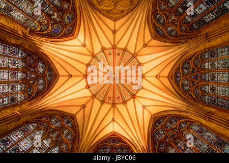 Osservando il meraviglioso soffitto ornato nel Chaptor House, York Minster. Costruito tra il 1260 e 1280s. Foto Stock