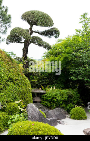 Il giardino giapponese. Chiran Samurai Case, Kagoshima, Kyushu, Giappone Foto Stock