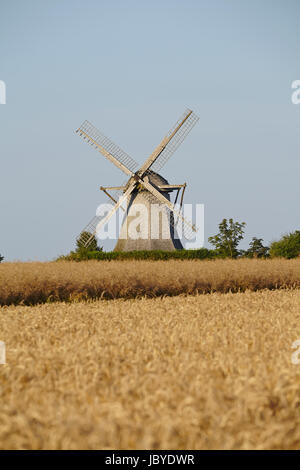 Il mulino a vento Destel (Stemwede, Germania) è un tipo olandese del mulino a vento ed è parte della Westfalia Mill Street (Westfaelische Muehlenstrasse). Foto Stock