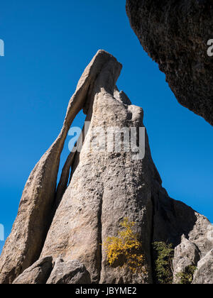 Gli aghi occhio, aghi autostrada, Custer State Park, Sud Dakota. Foto Stock