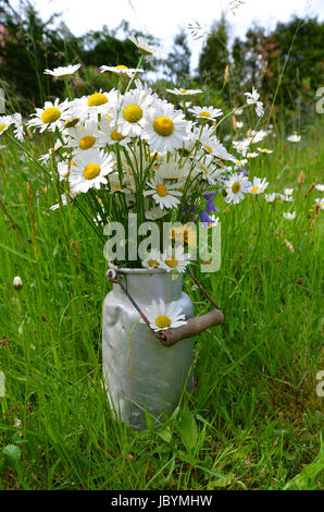 Blumenstrauß Blumenwiese bunter Blumen Hintergrund Foto Stock