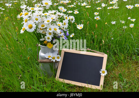 Blumenstrauß Blumenwiese bunter Blumen Hintergrund margeriten Foto Stock