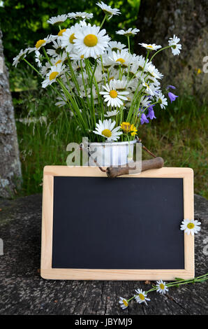 Blumenstrauß Blumenwiese bunter Blumen Hintergrund margeriten Foto Stock