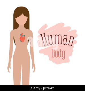 Silhouette colorato persona di sesso femminile con focolare sistema corpo umano Illustrazione Vettoriale