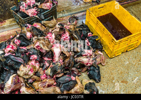 Tagliare le teste di capra sono in vendita su strada nel quartiere nuovo mercato Foto Stock