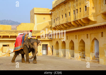 Decorate a piedi di elefante in Jaleb Chowk (cortile principale) in Forte Amber, Rajasthan, India. Corse di elefanti sono popolare attrazione turistica in ambra per Foto Stock