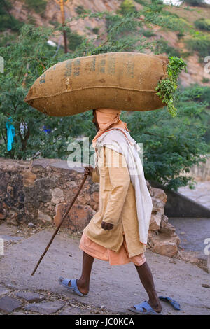 Uomo locale borsa da trasporto con erba sul suo capo vicino a Galta Tempio a Jaipur, India. Jaipur è il capitale e la più grande città dello stato indiano del Rajast Foto Stock