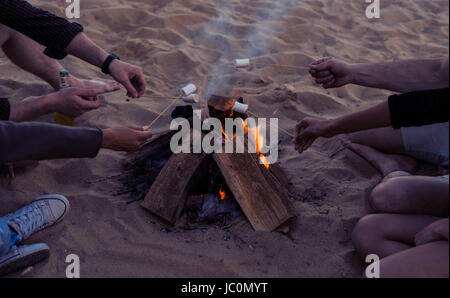 Gli amici su una spiaggia selvaggia acceso un falò e friggere marshmallows Foto Stock