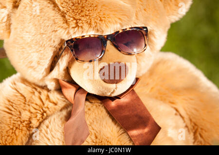 Primo piano di marrone orsacchiotto di peluche che indossa gli occhiali da sole Foto Stock