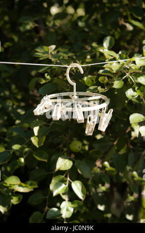 Bianco in plastica clothespins appeso sulla corda in giardino Foto Stock