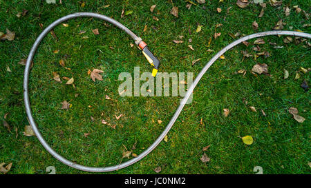 In gomma del tubo flessibile di giardino sdraiati sull'erba coperto con foglie Foto Stock