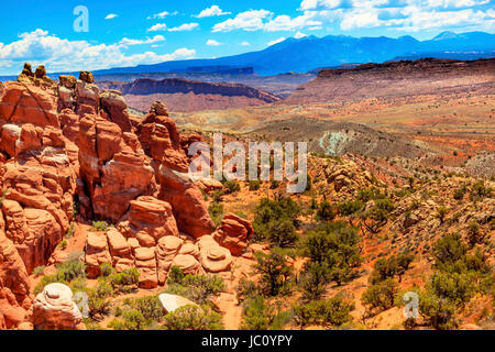 Deserto Dipinto colorato erba giallo arancio terre di arenaria rossa fornace ardente Parco Nazionale Arches Moab Utah Stati Uniti d'America sud-ovest. Foto Stock