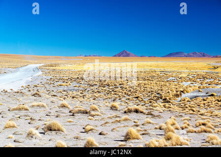 Alte pianure a Uyuni, Bolivia con vulcani in background Foto Stock