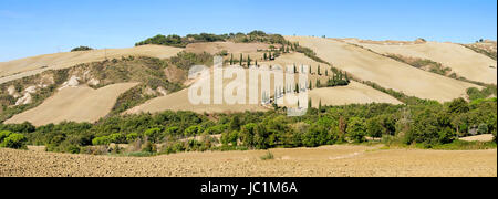 Zypressenkurve im Herbst - cypress curva in autunno 02 Foto Stock