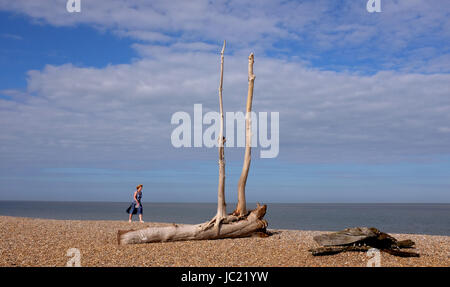 Aldeburgh, Suffolk, Regno Unito. Xiii Jun, 2017. Gode di una donna il tardo pomeriggio di sole quanto ella waolks sulla spiaggia di Aldeburgh nel Suffolk . Sole caldo Meteo previsioni è di diffondere in tutta la Gran Bretagna ancora nei prossimi giorni con temperature che raggiungono alte come 28 gradi in alcune parti fotografia scattata da Simon Dack Credito: Simon Dack/Alamy Live News Foto Stock