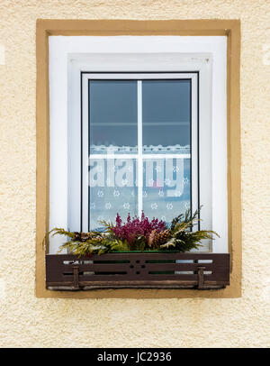 Bellissimi fiori che crescono sotto la finestra in una tradizionale casa austriaca Foto Stock