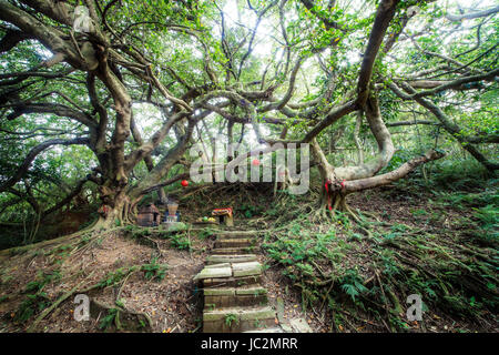 Miaoli, Taiwan - 4 Agosto 2014: vecchia pietra tempio a Miaoli, Taiwan Foto Stock