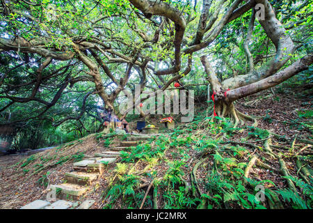 Miaoli, Taiwan - 4 Agosto 2014: vecchia pietra tempio a Miaoli, Taiwan Foto Stock