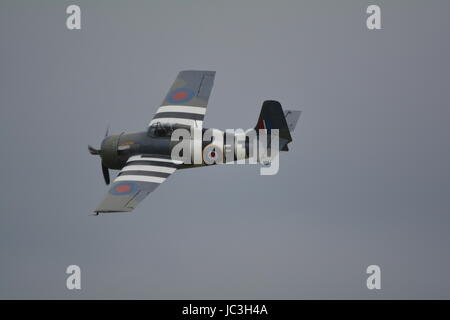 Grumman wildcat, Martlett guerra mondiale 2 fighter Foto Stock