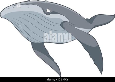 Cartoon nuoto Whale Illustrazione Vettoriale