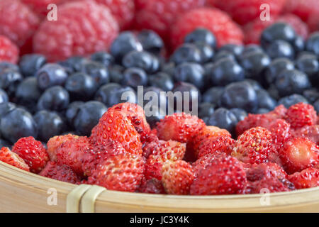 Frutti di bosco in cesto tessuto (fragole selvatiche, mirtilli e lamponi) Foto Stock