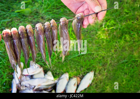 Il pescatore mantiene sulla sponda del fiume in mano la cattura: tre piccoli pesci catturati. Foto Stock