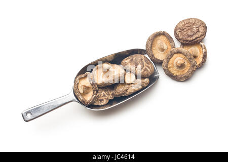 Essiccato funghi shiitake su sfondo bianco Foto Stock