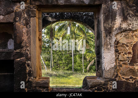 Vista delle palme attraverso una finestra della vecchia fortezza di El Castillo Garcia D'Avil, Praia do Forte, Bahia, Brasile Foto Stock