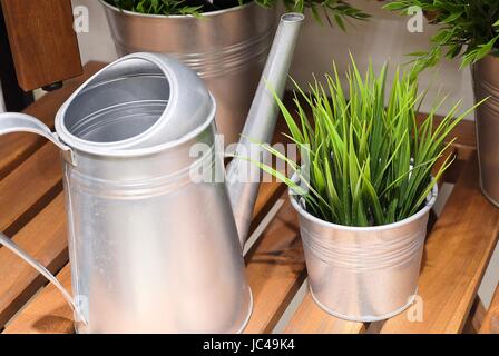 Annaffiatoio o annaffiatura pentola con piante verdi, irrigazione può essere utilizzato per impianti di acqua a mano. Foto Stock