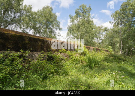 Il Atlantic Wall a Hankley comune, Surrey, Regno Unito Foto Stock