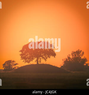 Tramonto dietro Oak tree sulla parte superiore di una vecchia tomba a tumulo Soderslatt, Skane, Svezia e Scandinavia. Foto Stock