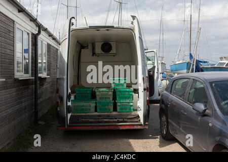 West Mersea, ostriche nel verde di un cestello di raccolta Foto Stock