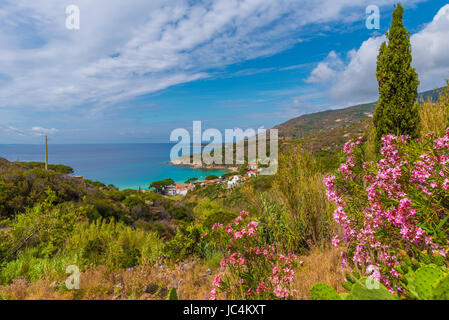 Vista della spiaggia di Cavoli, Isola d'Elba, Toscana, Italia. Foto Stock