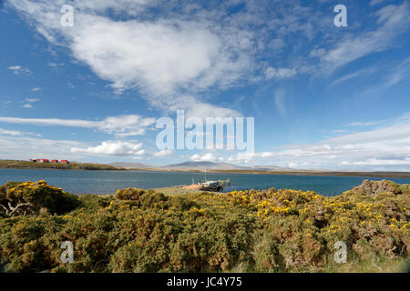 Vista di Darwin, East Falkland, Isole Falkland Foto Stock