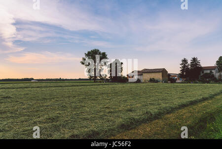 Country house nel settore agricolo Emilia Romagna, Italia Foto Stock