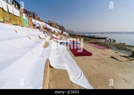 Servizio lavanderia viene lavato e messo ad asciugare dalla casta dhobi a pandey ghat presso il fiume sacro Gange nel sobborgo godowlia Foto Stock