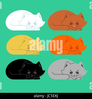 Gatto pelo set. Bianco e nero, giallo e marrone. gattino essere addormentato. dormire pet Illustrazione Vettoriale