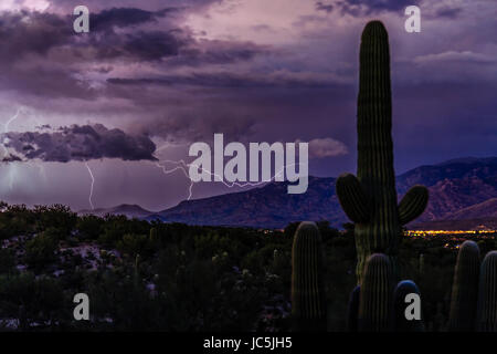 An intense summer monsoon storm brings drama to the sonoran desert near Tucson, Arizona. Foto Stock