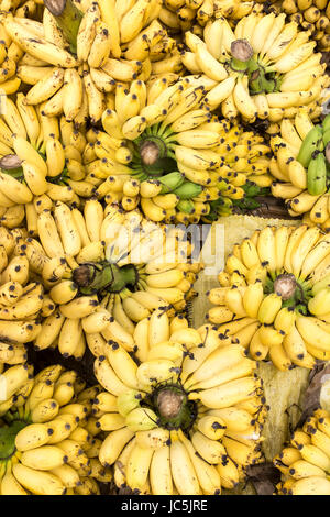 I grappoli di banane in un mercato in stallo a Negombo Sri lanka Foto Stock