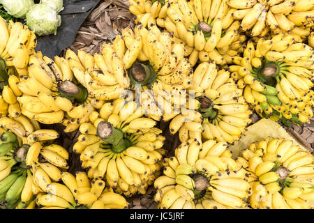 I grappoli di banane in un mercato in stallo a Negombo Sri lanka Foto Stock